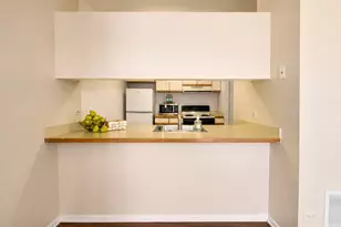 780 S Federal St, Chicago, IL 60605 - Photo 11