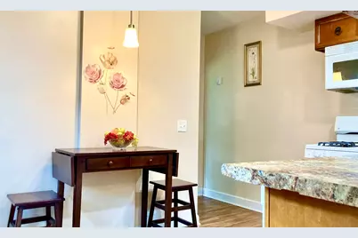 207 Village Road, Hinsdale, IL 60521 - Photo 3