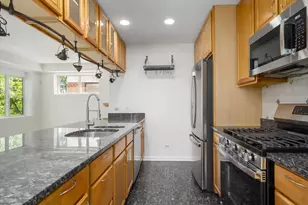 2317 W Wolfram St, Chicago, IL 60618 - Photo 9