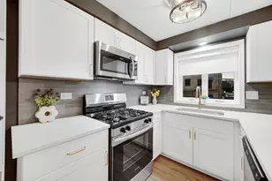 225 E Wing St, Arlington Heights, IL 60004 - Photo 11