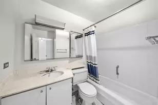 1555 N Sandburg Terrace, Chicago, IL 60610 - Photo 13