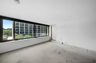 1555 N Sandburg Terrace, Chicago, IL 60610 - Photo 3
