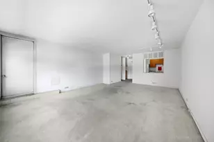 1555 N Sandburg Terrace, Chicago, IL 60610 - Photo 7