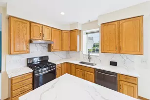 247 Alyssum Ct, Romeoville, IL 60446 - Photo 13