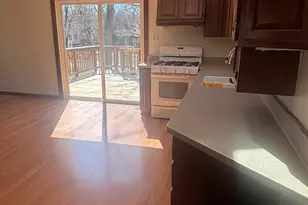 7718 Butternut Ct, Woodridge, IL 60517 - Photo 5