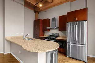 1040 W Adams St, Chicago, IL 60607 - Photo 7