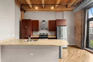 1040 W Adams St, Chicago, IL 60607 - Photo 9