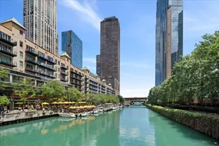 447 N McClurg Ct, Chicago, IL 60611 - Photo 3