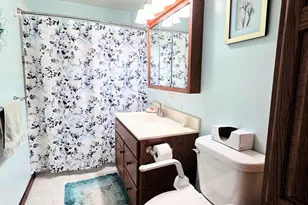 347 S Douglas Dr, Bradley, IL 60915 - Photo 9