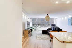 110 E Delaware Pl, Chicago, IL 60611 - Photo 3