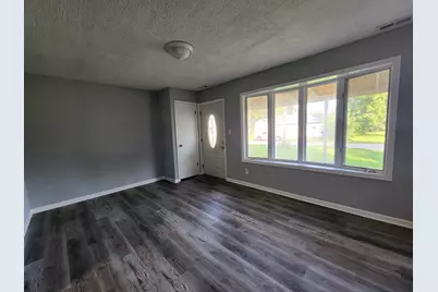 113 N Cambria Street, Braceville, IL 60407 - Photo 3