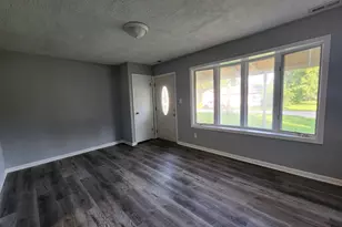 113 N Cambria St, Braceville, IL 60407 - Photo 3