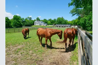708 S Rose Farm Road, Woodstock, IL 60098 - Photo 101