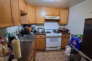 4602 N Karlov Ave, Chicago, IL 60630 - Photo 17