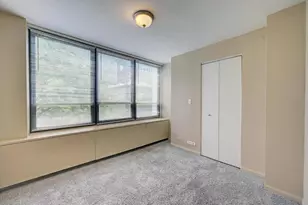 222 E Pearson St, Chicago, IL 60611 - Photo 13