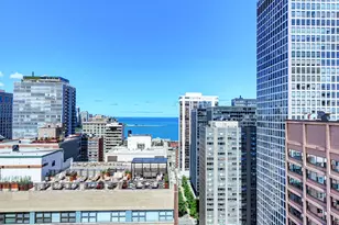 222 E Pearson St, Chicago, IL 60611 - Photo 29