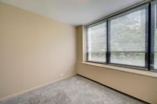 222 E Pearson St, Chicago, IL 60611 - Photo 15