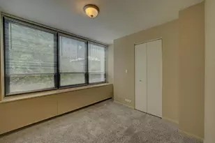 222 E Pearson St, Chicago, IL 60611 - Photo 21