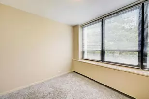222 E Pearson St, Chicago, IL 60611 - Photo 23
