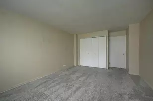 222 E Pearson St, Chicago, IL 60611 - Photo 11