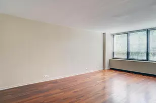 222 E Pearson St, Chicago, IL 60611 - Photo 19