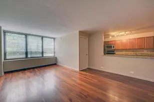 222 E Pearson St, Chicago, IL 60611 - Photo 7