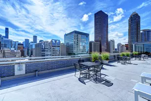 222 E Pearson St, Chicago, IL 60611 - Photo 27