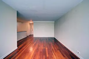 222 E Pearson St, Chicago, IL 60611 - Photo 9