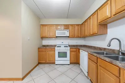 6559 W George Street #309, Chicago, IL 60634 - Photo 9