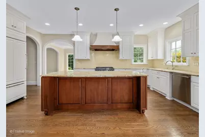 516 N Clay Street, Hinsdale, IL 60521 - Photo 11
