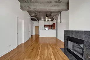 1071 W 15th St, Chicago, IL 60608 - Photo 9