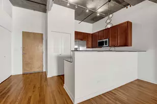 1071 W 15th St, Chicago, IL 60608 - Photo 11
