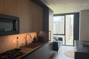 234 W Polk St, Chicago, IL 60607 - Photo 3