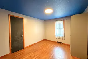 271 N Douglas St, Bradley, IL 60915 - Photo 15