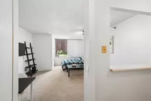 440 N McClurg Ct, Chicago, IL 60611 - Photo 5