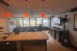 201 E Chestnut St, Chicago, IL 60611 - Photo 3