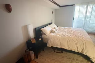 201 E Chestnut St, Chicago, IL 60611 - Photo 15