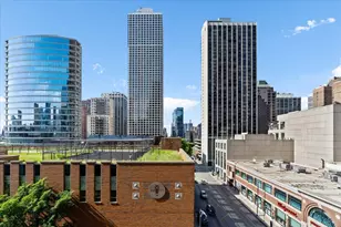 9 W Walton St, Chicago, IL 60610 - Photo 39