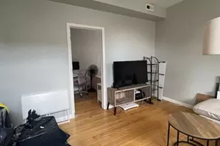 1706 W 17th St, Chicago, IL 60608 - Photo 9