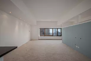175 E Delaware Pl, Chicago, IL 60611 - Photo 11