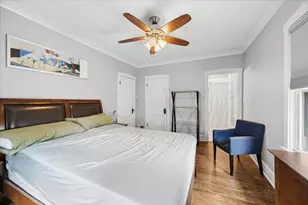 847 N Cuyler Ave, Oak Park, IL 60302 - Photo 13