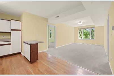 891 Central Avenue #336, Highland Park, IL 60035 - Photo 3