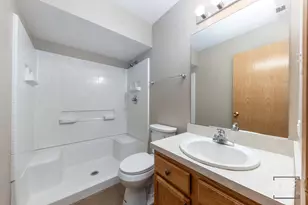524 Meadow Lily Dr, Joliet, IL 60431 - Photo 19