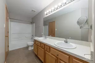 524 Meadow Lily Dr, Joliet, IL 60431 - Photo 13