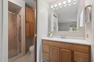 11141 Cottonwood Dr, Palos Hills, IL 60465 - Photo 13