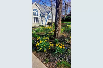 11505 S 86th Avenue, Palos Park, IL 60464 - Photo 31
