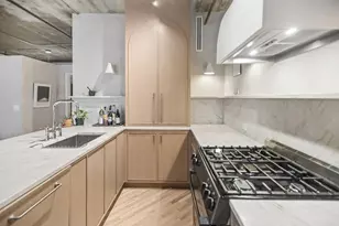 411 W Ontario St, Chicago, IL 60654 - Photo 7