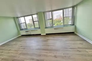 4250 N Marine Dr, Chicago, IL 60613 - Photo 3
