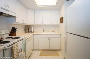 40 E Delaware Pl, Chicago, IL 60611 - Photo 9