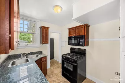 44 N Spring Avenue, La Grange, IL 60525 - Photo 9